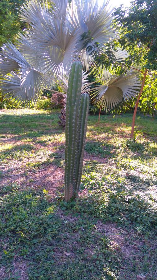 Arizona Ranch Hotel Girardot Esterno foto